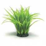 Oase biOrb Grass ring large green