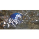 Oase AquaOxy 1000 CWS