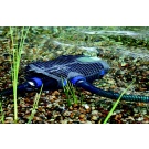 Oase AquaMax Eco Premium 12000 12V