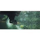 Oase SwimSkim 50