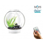 Oase biOrb CLASSIC 60 MCR white