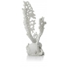 Oase biOrb Fan coral ornament medium white