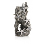 Oase biOrb Sea star rock ornament